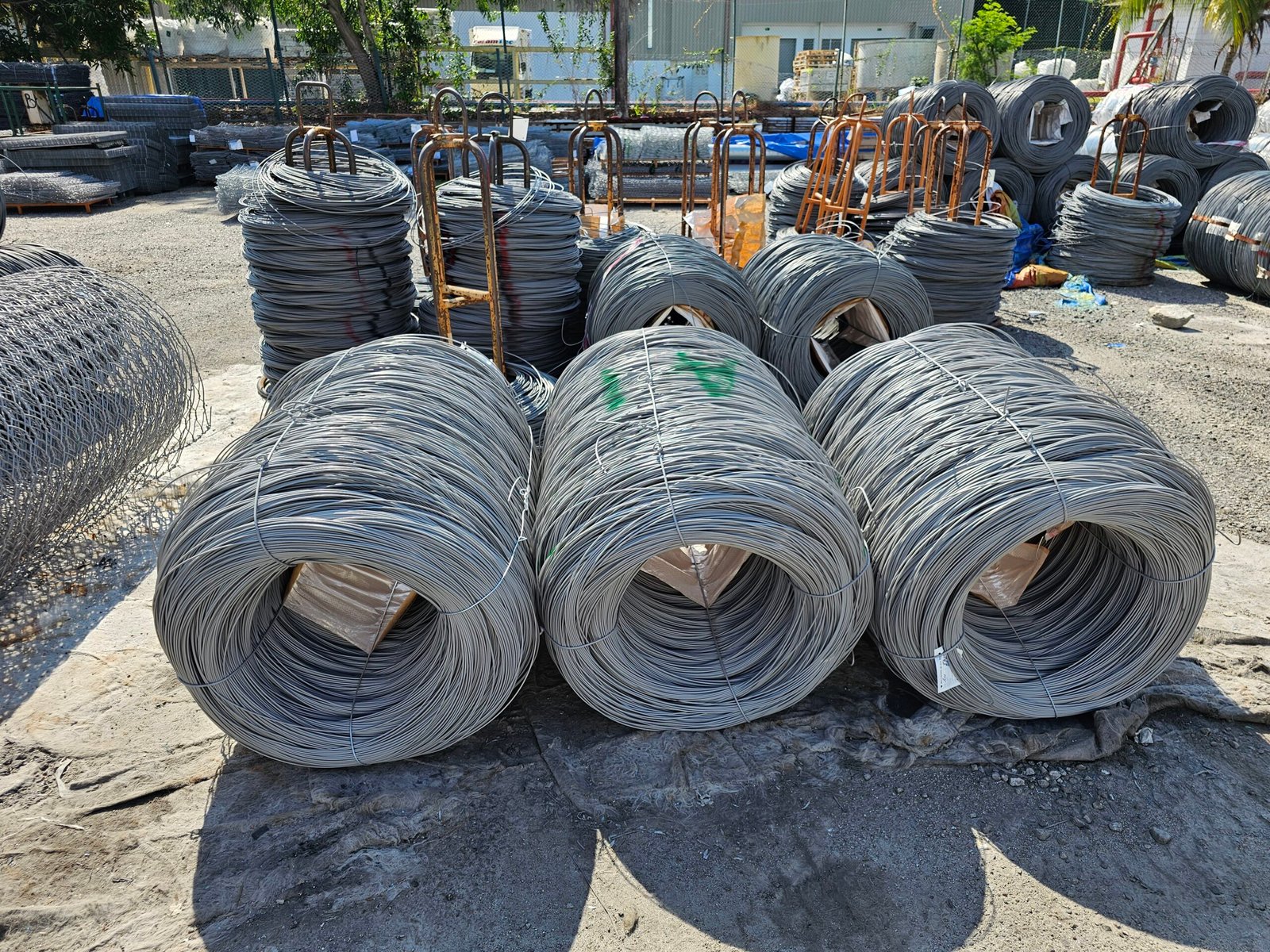 20230809 103303 scaled