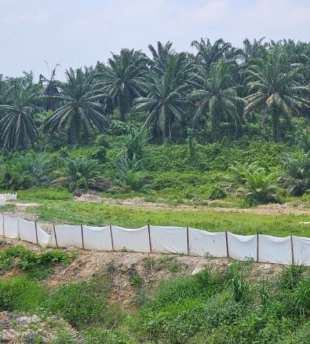 DX GEOTEXTILE 7 20230927_140547