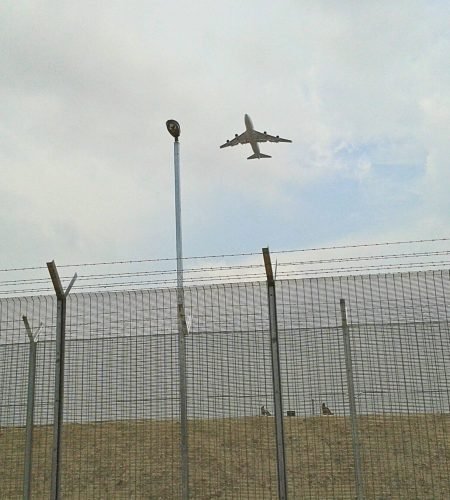 DX ANTI-CLIMB FENCING 4 Anti-climb-Fencing