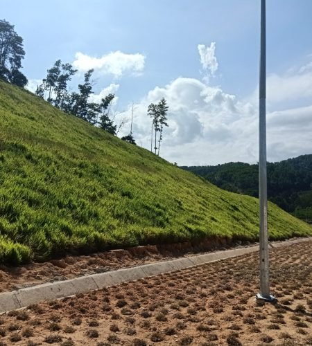 DX EROSION CONTROL MAT (ECM) 2 IMG-20230831-WA0021